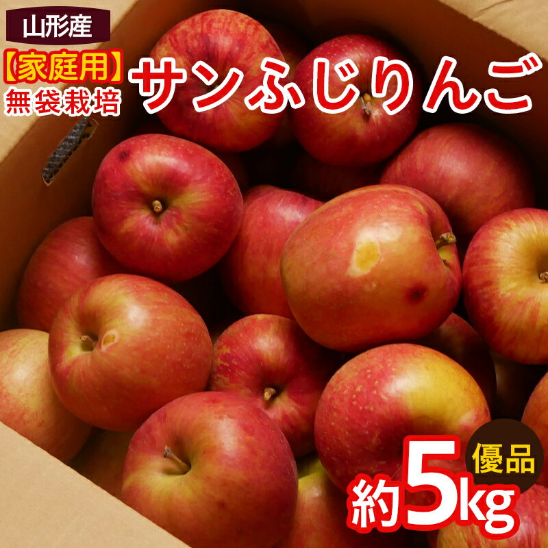 【ふるさと納税】【家庭用】ふじりんご 優品 約5kg入り【令和8年産先行予約】FS25-760