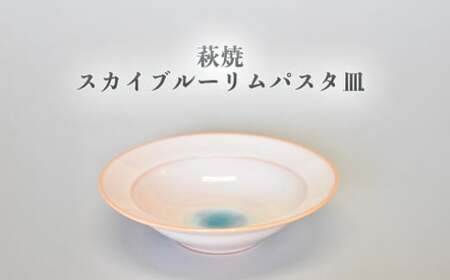 萩焼 スカイブルーリムパスタ皿