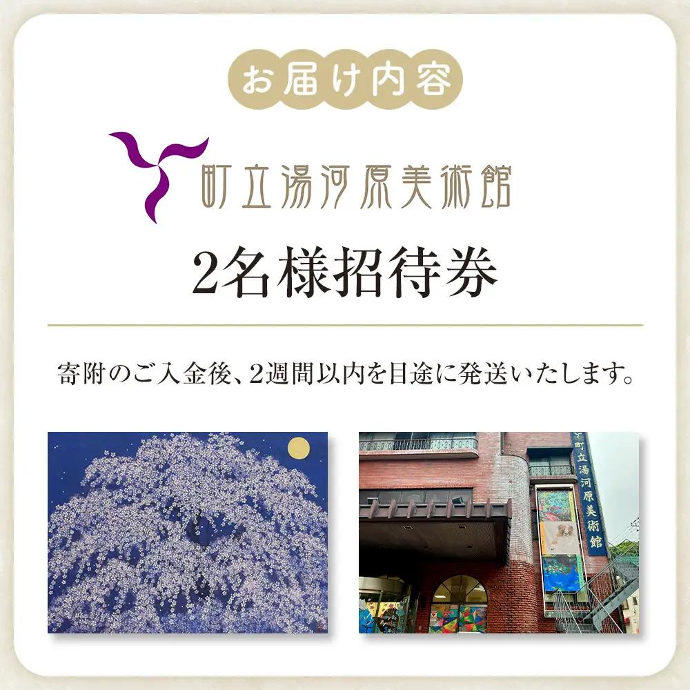 湯河原町立美術館　ペア招待券 | 湯河原町 町立美術館 文化施設 アート鑑賞 観光