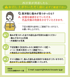 【2026年発送】西洋梨《ラ・フランス》約1.5kg（4～8玉）光センサーで糖度14度以上を確認済 [h039]