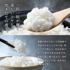 米 12回 定期便 令和7年 三田米 コシヒカリ 5kg