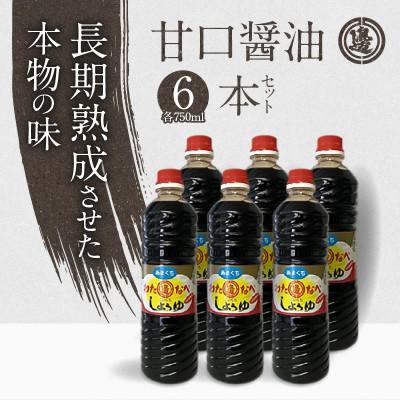 ふるさと納税 延岡市 甘口の6本セット