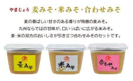 「１００年以上の歴史」徳山みそ・しょうゆ［味噌・醤油］5個セット【A157】