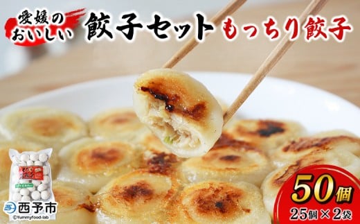 ＜愛媛のおいしい餃子セット もっちり餃子 合計50個(25個×2袋)＞ぎょうざ ギョーザ 餃子 国産 丸餃子 もっちり 国産野菜 ブランド豚 鍋 浅野食品 愛媛県 西予市【冷凍】『1か月以内に順次出荷予定』