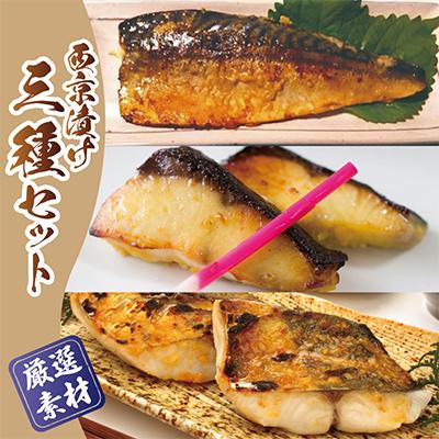 ふるさと納税 泉佐野市 【2025年10月下旬発送】 西京漬け 3種食べ比べセット(さば/さわら/ぶり) 030D164