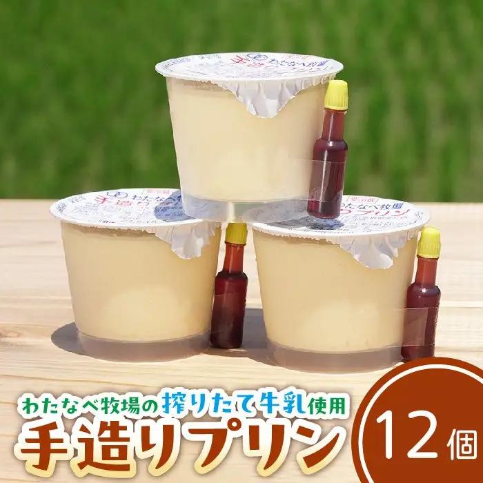 【テレビで紹介されました】手造りプリン12個セット／ 冷蔵 ネッカ牛乳 ネッカ卵 蒸しプリン ソース別 素朴 デザート スイーツ おやつ グルメ ご褒美 新鮮 生乳 搾りたて 自然派 お土産 自宅用 ギフト 贈り物 人気 テレビ TV 紹介 話題 島根県 安来市 【10-WB-25】
