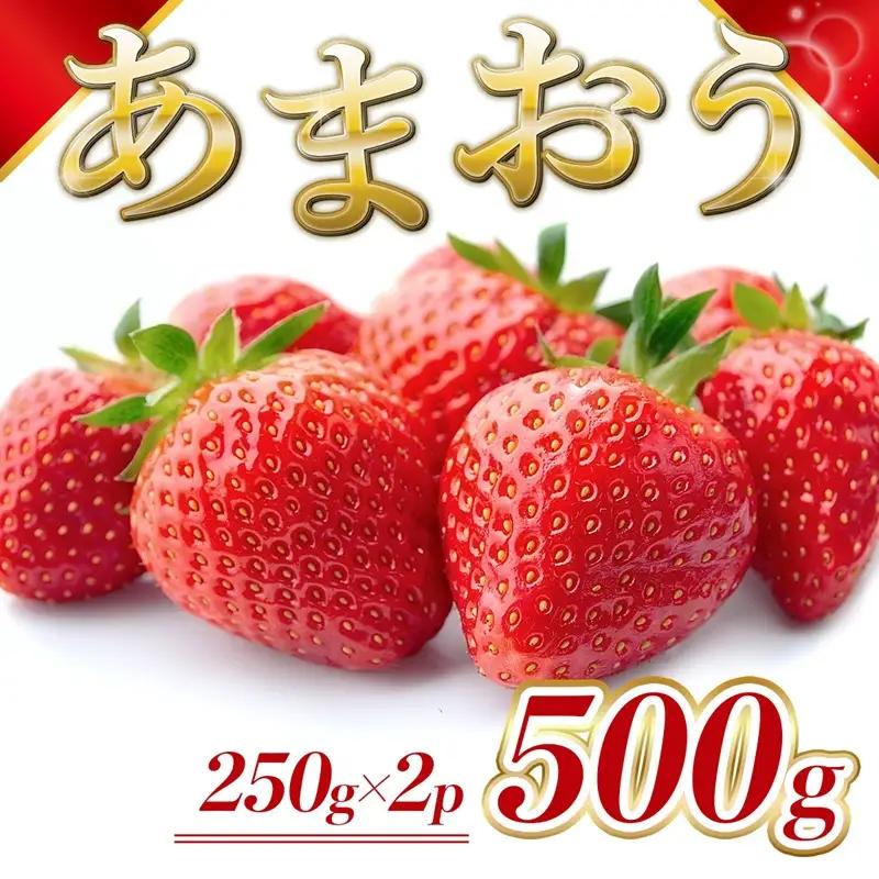 【先行予約】 いちご 福岡県産 あまおう 500g (250g×2パック)  いちご 果物