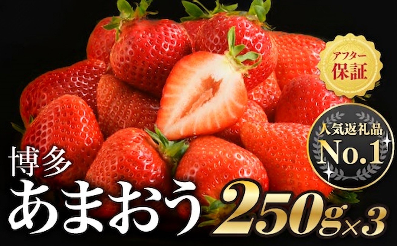 人気№１獲得謝礼品★限定品★あまおう約840g 先行受付