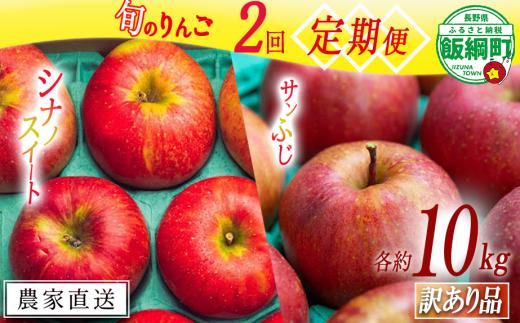旬のりんご 【 定期便 】 訳あり 10kg × 2回 原山農園 沖縄県への配送不可 2025年10月中旬頃から2025年12月下旬頃まで順次発送予定 令和7年度収穫分 シナノスイート サンふじ 長野県 飯綱町 [2026]