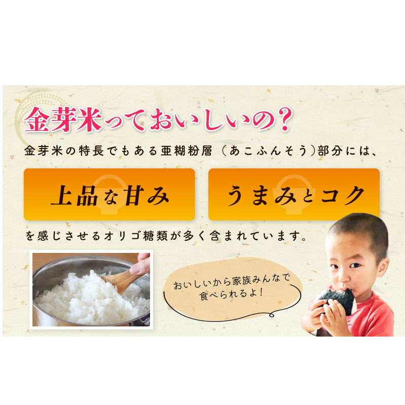 金芽米 4.5kg(無洗米) 【4.5kg×1袋 ご飯 ごはん お米 精米 金芽米計量カップ付】 015B630_イメージ4