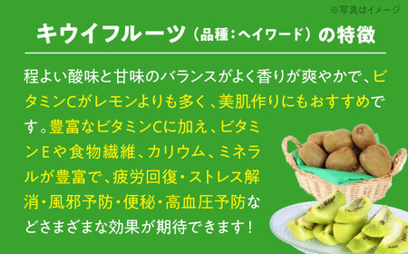 生産量日本一！愛媛県産 キウイフルーツ（24個から27個入り）　愛媛県大洲市/幸野観光なし園[AGBD004]キウイキウイフルーツ果物キウイキウイフルーツ果物キウイキウイフルーツ果物キウイキウイフルー