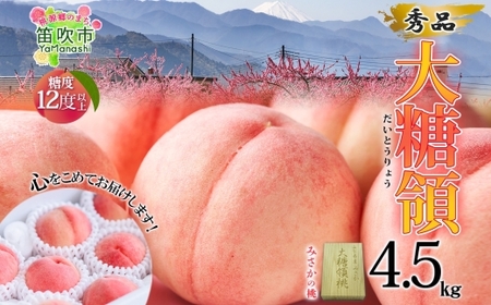 【2026年発送★先行予約】桃 秀品 4.5kg 大糖領 糖度12％以上※クール便配送 177-003-26y