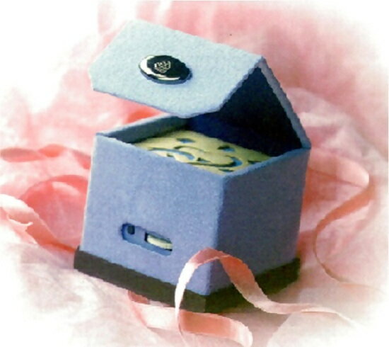 【ふるさと納税】電子オルゴール　音楽の小箱　プレゼントパック通信セット