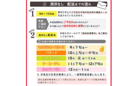 こだわり ラ・フランス 5kg（18玉～20玉） 秀品 L～2L 《ご自宅用》 農家直送 山形県産【2025年11月頃～12月上旬頃発送予定】　012-B-HK002