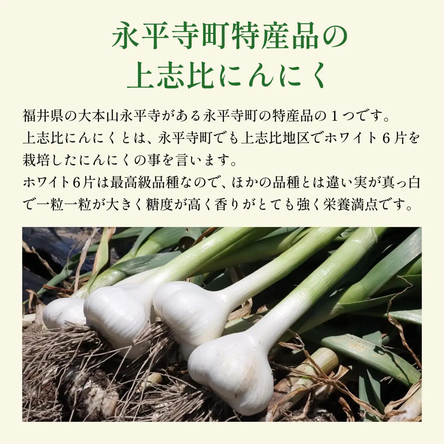 永平寺町産 乾燥 上志比にんにく 1kg ニンニク ホワイト 国産