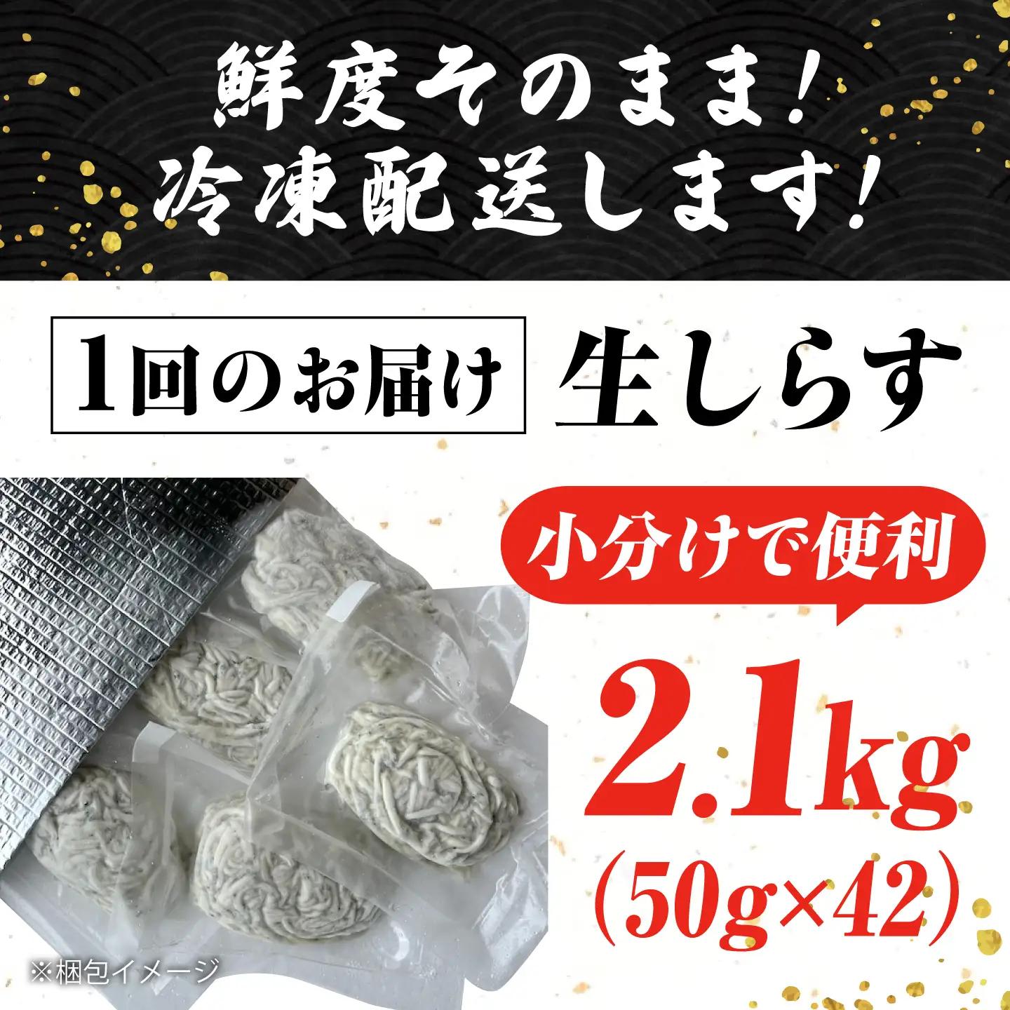 【全6回】冷凍生しらす50g×42個 しらす[XCN018]