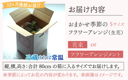 【定期便１２回】おまかせ季節のフラワーアレンジ（生花）Ｓサイズ ×１２ヶ月【母の日申込期日：4/26（日）まで】【母の日発送予定日：～5/11（月）まで】お好み、着日指定可能　[I-036001]