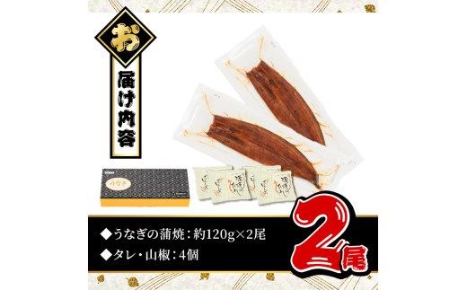 ＜尾数が選べる！＞無投薬！鹿児島県産うなぎ蒲焼セット＜定番＞(計240g以上・ 約120g×2尾) タレ・山椒付き 鰻 ウナギ 国産【西日本養鰻】A730-v02