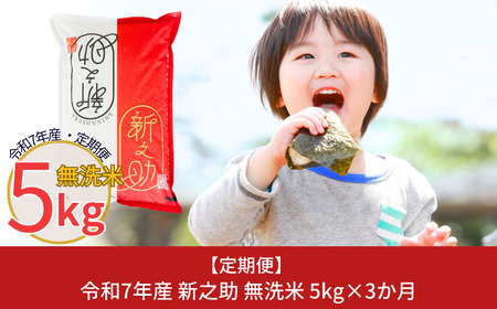 定期便 無洗米 新之助 5kg×3か月 令和7年産新之助  無洗米 白熊