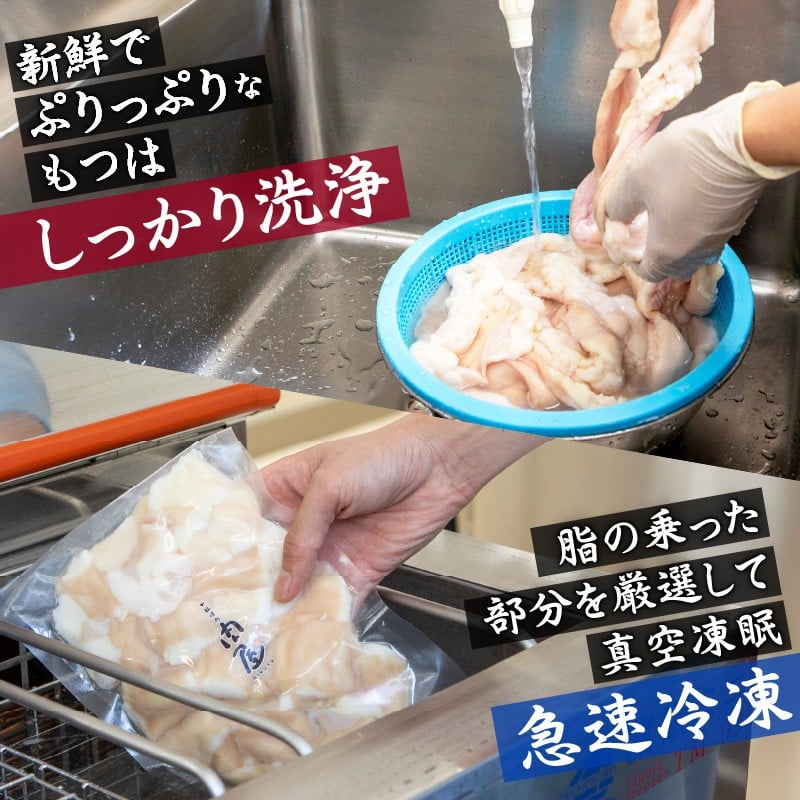 【スピード発送】最短7日以内発送！！【大盛九条ネギ】京都もつ鍋セット4～5人前