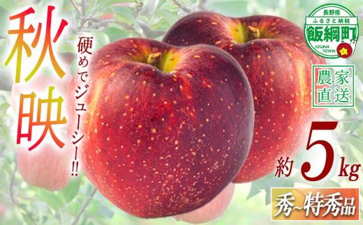 りんご 秋映 秀 ～ 特秀 5kg 渡辺農園 沖縄県への配送不可 2026年10月上旬頃から2026年10月中旬頃まで順次発送予定 令和8年度収穫分 エコファーマー認定 減農薬栽培 長野県 飯綱町 [0363]