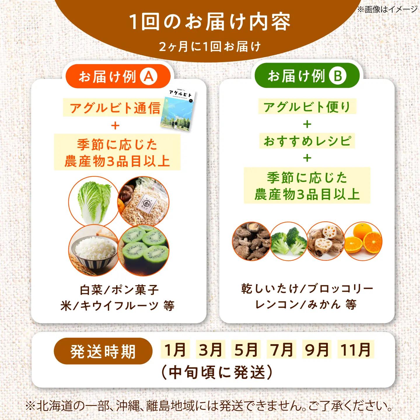 野菜【全6回定期便】【隔月】旬の農産物 野菜[AGBL001]