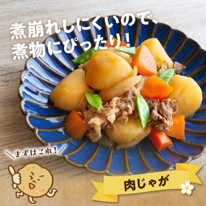 【 2026年先行予約 】新じゃがいも ニシユタカ 10kg 3月お届け C056-005-02 じゃがいも 新じゃが いも 芋 ポテト 野菜 ミネラル豊富 料理 調理 先行予約 先行受付 先行 予約