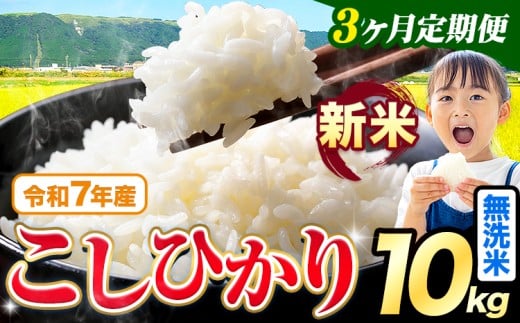 【3ヶ月定期便】令和7年産 新米 無洗米 こしひかり 10kg《お申込み翌月出荷》熊本県産 ふるさと納税 無洗米 精米 ひの 米 こめ ふるさとのうぜい コシヒカリ コメ お米 おこめ