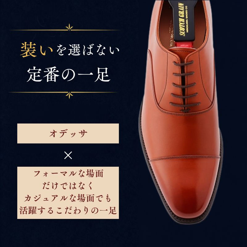 スコッチグレイン ビジネスシューズ メンズ オデッサ 916MBR 