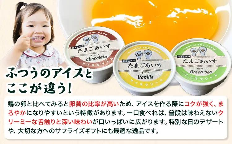 エミューのたまごアイス 8個入り エミュー観光牧場 《30日以内に出荷予定(土日祝除く)》 熊本県 菊池市 卵 たまご エミュー 食用卵 アイス デザート 国産 熊本県産 産地直送 送料無料