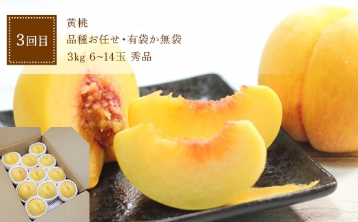 【定期便3回】 桃と梨だけ便 FSY-2740