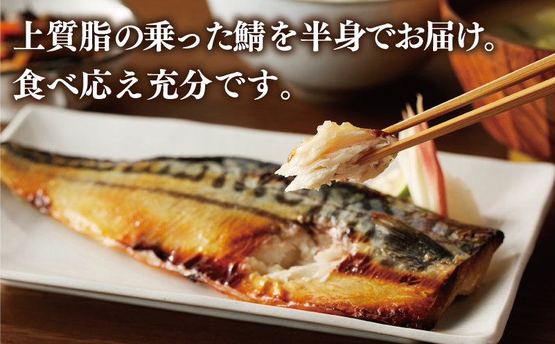鯖 西京漬け 150g×半身6枚セット 010B1053