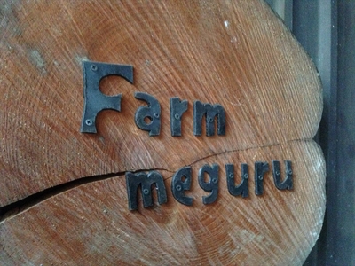 【先行予約】【6ヶ月連続定期便】ニンジンジュース （1000ml×6本入り）＜2025年12月10日以降順次発送＞人参 にんじん 野菜　ジュース 飲料 長野県 信州【 ニンジン にんじん 人参 にんじ