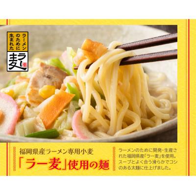 ふるさと納税 福智町  福岡県産ラー麦 ちゃんぽん |  | 02
