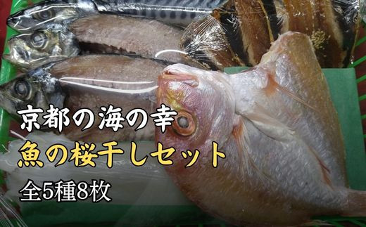 京都宮津産 干物 ギフト (全5種 8枚) 贈答用 C[ 一夜干し 桜干し ] 鯖 鰯 イカ 鯵 キダイ 冷凍 海の幸 贈答 プレゼント 化粧箱 贈り物 京都 海の京都 詰め合わせ (塩サバ×1本 イワシ桜干し×3匹 イカ一夜干し×1枚 アジ一夜干し×2枚 レンコダイ一夜干し×1枚)