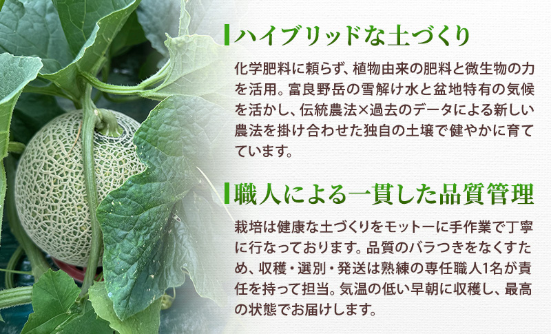＜2026年発送＞富良野メロン (赤肉) 品種おまかせ 約1.6kg～/2