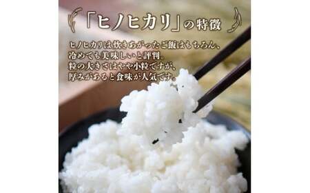 【新米 令和7年産】無洗米ヒノヒカリ 15kg（5kg×3袋 国産 米 新米 無洗米 お米 精米 令和7年新米 小分け 数量限定）