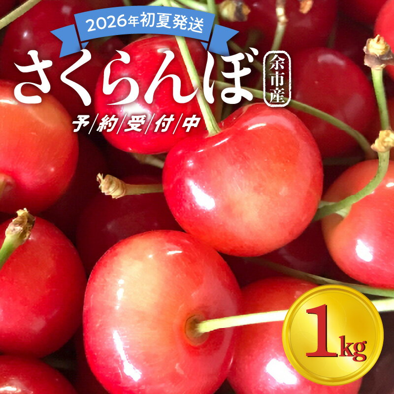 【ふるさと納税】【2026年初夏発送】 さくらんぼ 毎年大好評！ こだわりの 東谷農園 余市産 さくらんぼ 500g × 2パック 合計 1kg フルーツ 果物 果実 チェリー 美味しい 旬の味覚 北海道 東谷農園 国産 お取り寄せ お取り寄せフルーツ 送料無料
