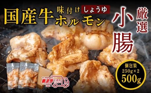 小腸セット　特製自家製しょうゆダレ漬け 250gx2袋 500g　ホルモン しょうちょうセット 焼肉用 肉 ダレ付き 小分け 冷凍 ギフト 大容量