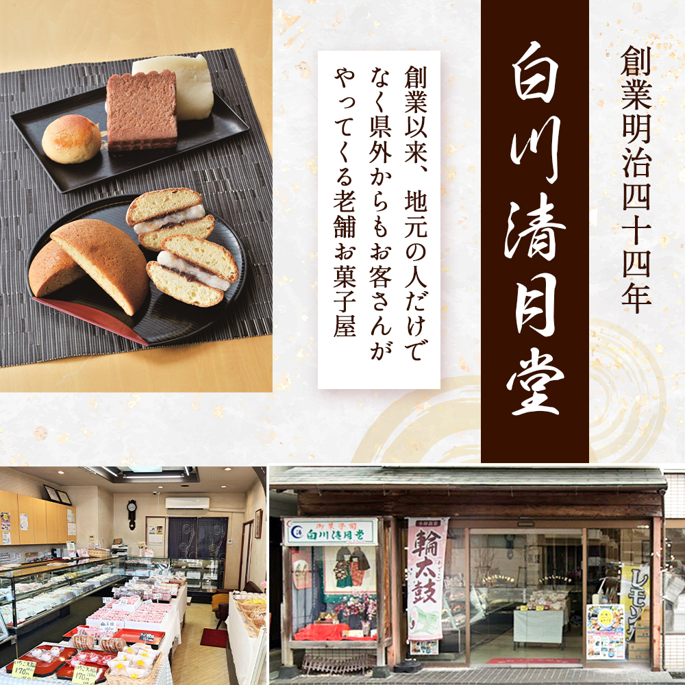 【E205】【地元銘菓】輪太鼓（わでこ）10個入（菓子 スイーツ 和菓子 ブッセ 餅 あんこ 銘菓 宮崎県）_イメージ2
