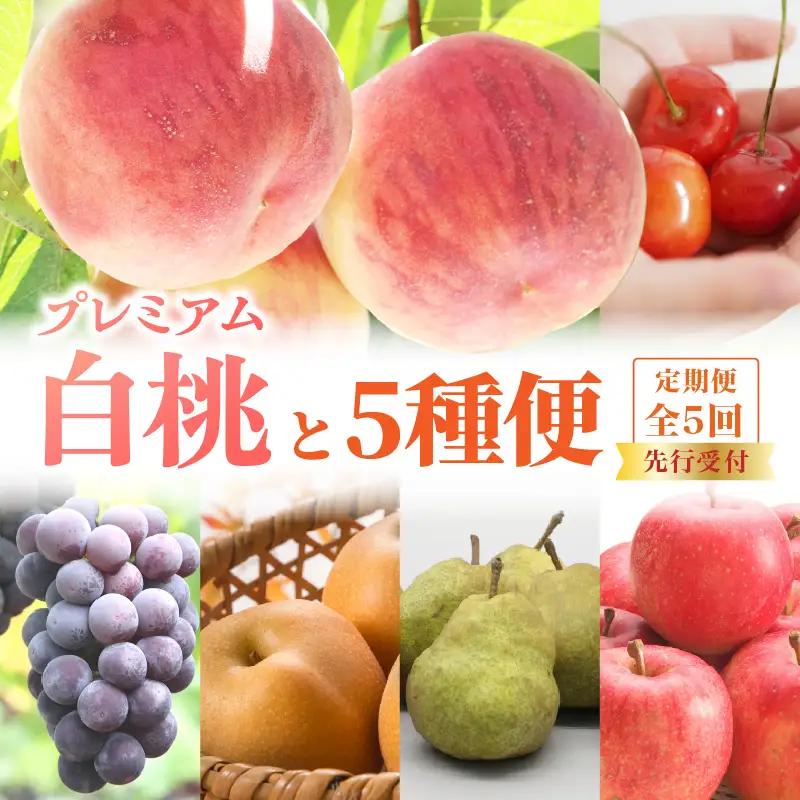 《先行受付》プレミアム白桃と5種便【定期便全5回】 060-T12