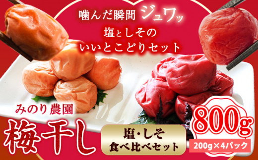 うめぼし(紅白) 800g《30日以内に出荷予定(土日祝除く)》熊本県 葦北郡 津奈木町 梅 梅干し 天日干し みのり農園