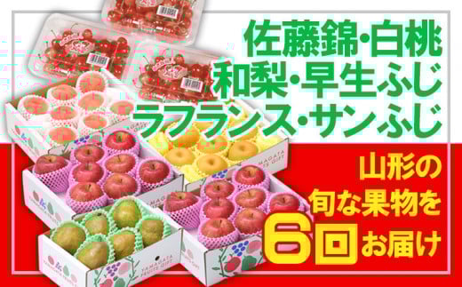 【定期便6回】☆フルーツ王国山形☆佐藤錦・白桃・和梨・早生ふじ・ラフ・りんご 【令和7年産先行予約】FU23-839 くだもの 果物 フルーツ 山形 山形県 山形市 2025年産