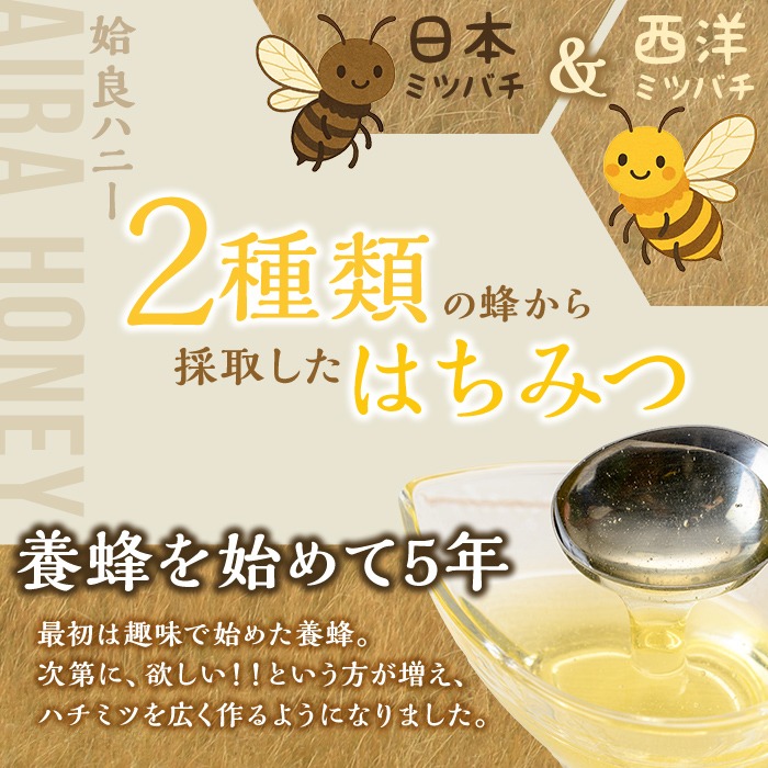 a1002 《期間限定！》選べる容量！姶良ハニー(250g・500g)【原電設工業】姶良市 国産 ハチミツ はちみつ 蜂蜜 百花蜜 蜜 常温 常温保存