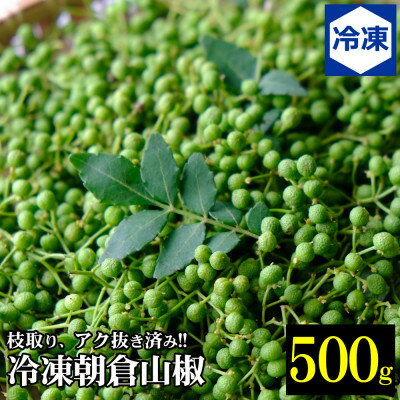 【ふるさと納税】兵庫県養父市産 冷凍朝倉山椒 500g_ 山椒 冷凍 スパイス 朝倉山 アク抜き 人気 おすすめ 送料無料 産地直送 贈答 ギフト 【配送不可地域：離島】【1399259】