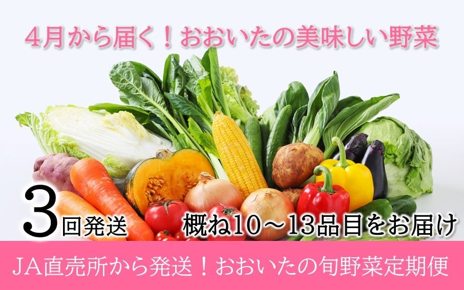 
                  4月からお届け!おおいたの旬野菜定期便/計3回発送_2394R
                