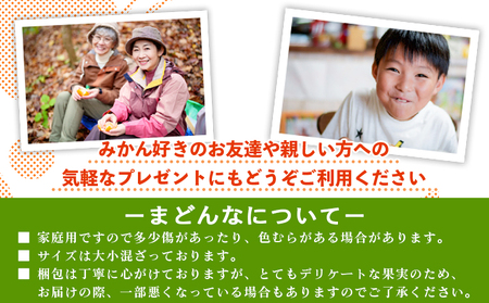 三好農園直送　愛媛県西予市産　贅沢柑橘「まどんな」　家庭用（箱込４kg）