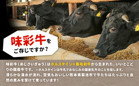 味彩牛 モモ・ウデ・肩ロース スライス 2kg 1パック 500g のぐち産業株式会社《90日以内に出荷予定(土日祝除く)》熊本県 菊池市 牛肉 スライス済み 肩ロース お肉 精肉 熊本県産 九州産 