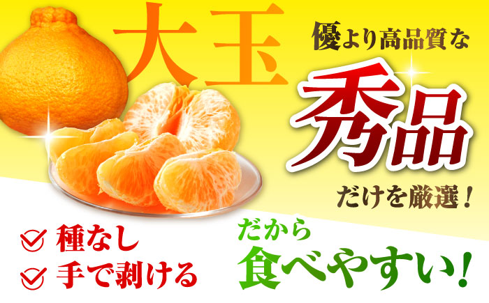 【先行予約】 【数量限定】 柑橘の王様 ハウス栽培 不知火 デコポン 約3kg（7～12玉） 【小春農園】 [ZBN003]