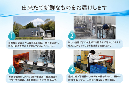 高濃度水素水   500ml  12本  M799